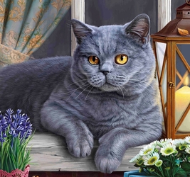 Алмазная мозаика (класс.) 20х20 см