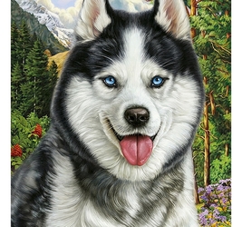 Алмазная мозайка квадратная 22x32 (24 цв.) Портрет хаски